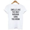Smells Like The Only Nirvana Song You Know Tshirt