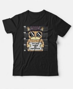 Are You Kitten Me Right Meow T-shirt